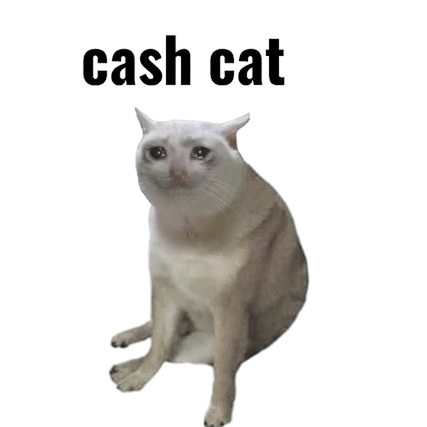 Cash Cat mascot
