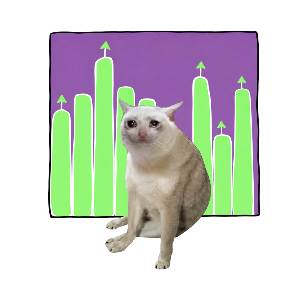 Chart Cat